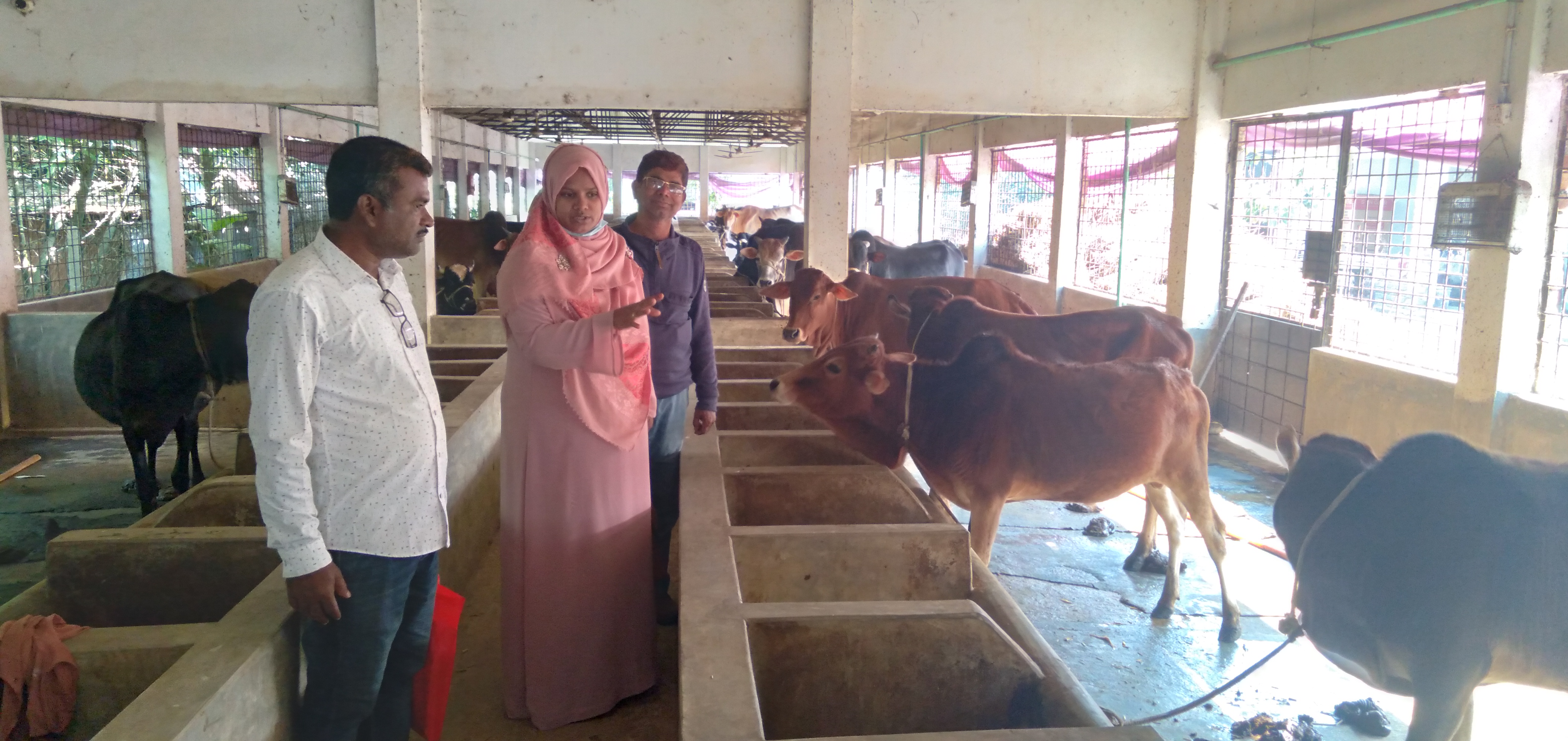 খামার পরিদর্শন