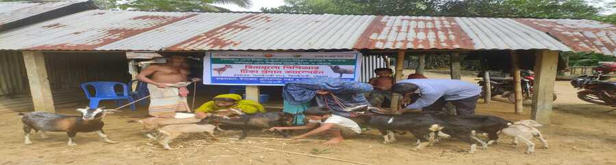 পিপিআর ভ্যাক্সিনেশন