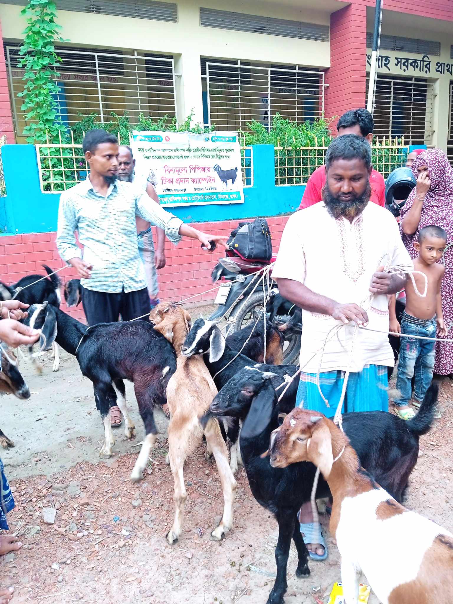 প্রাণিসম্পদ অধিদপ্তরাধীন পিপিআর রোগ নির্মূল এবং ক্ষুরারোগ নিয়ন্ত্রণ প্রকল্প (২য় সংশোধিত) এর আওতায় দেশব্যাপী পিপিআর টিকা (২য় ডোজ) প্রদান প্রসঙ্গে।
