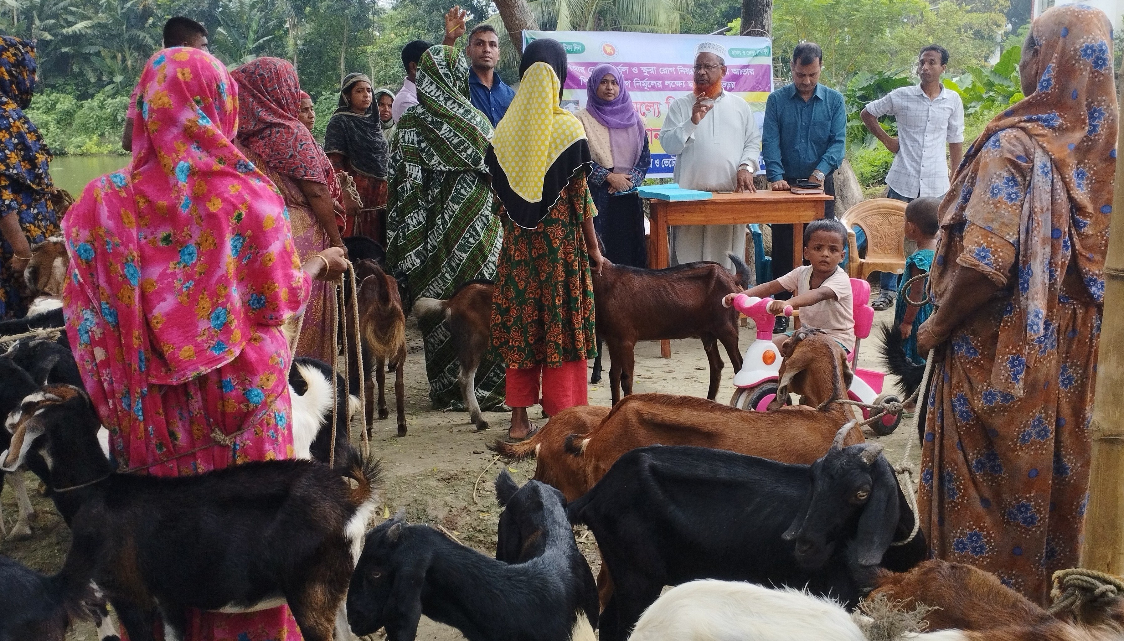 পিপিআর ভ্যাক্সিনেশন (২য় পর্যায়)