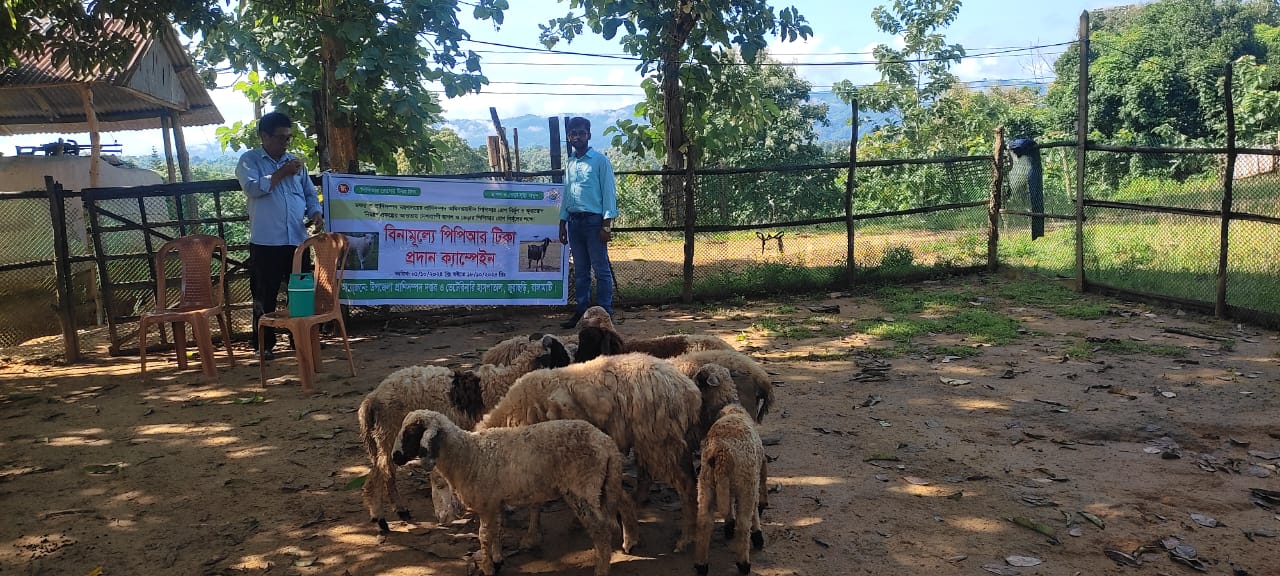 টিকাদান কর্মসূচি