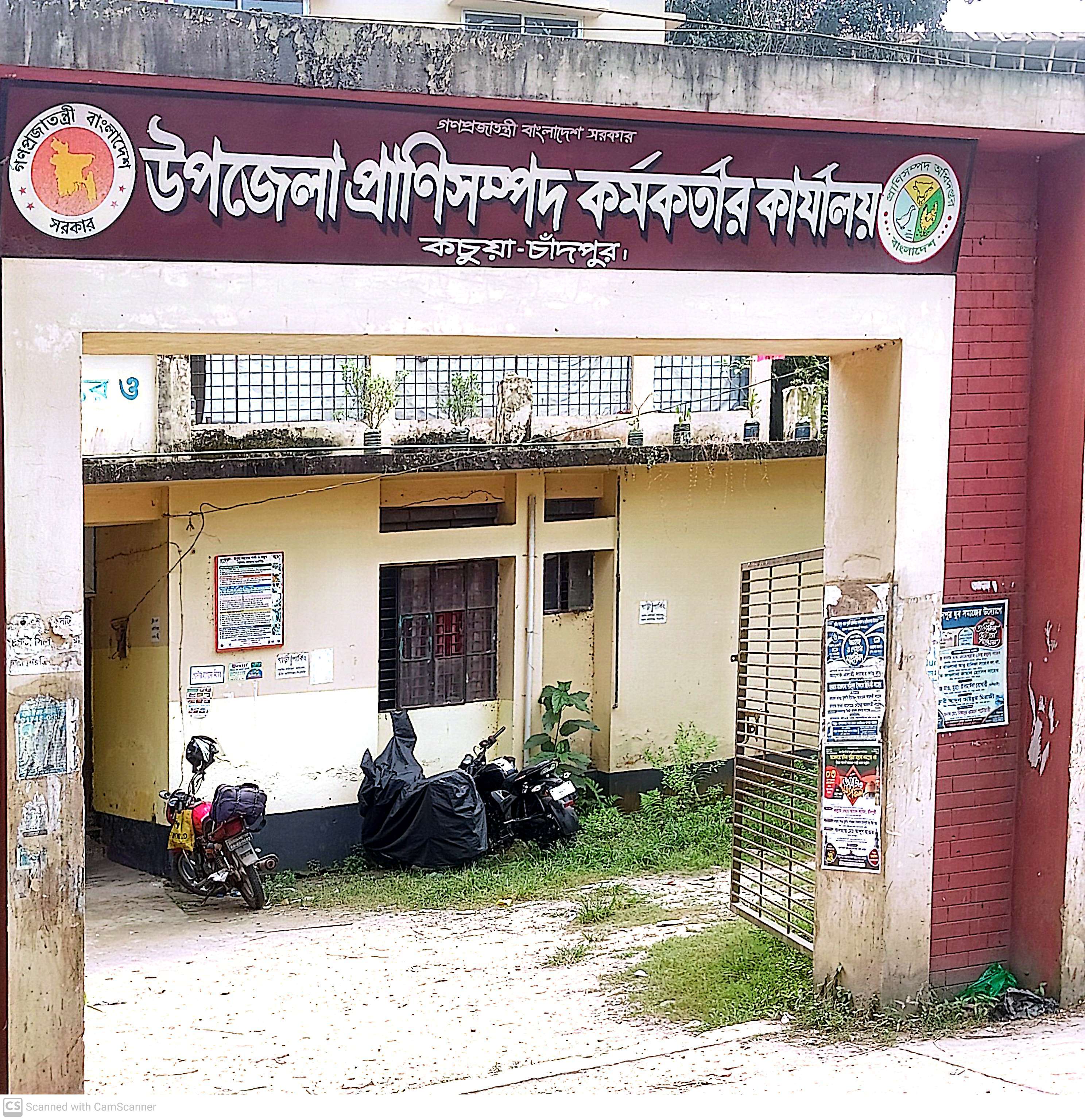 উপজেলা প্রাণিসম্পদ দপ্তর ও ভেটেরিনারি হাসপাতাল,কচুয়া,চাঁদপুর।