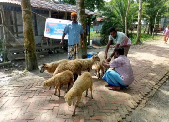 ফ্রি ভ্যাক্সিনেসন ক্যাম্পেইন