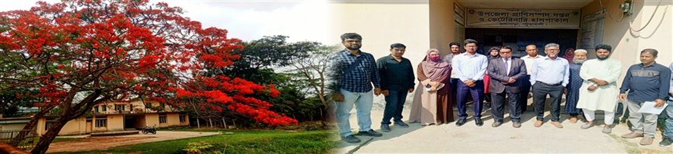 উপজেলা প্রাণিসম্পদ