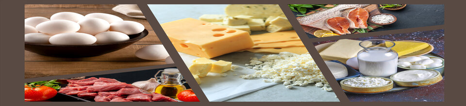 উপজেলা প্রাণিসম্পদ অফিস