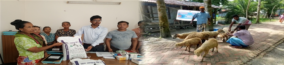 উপজেলা প্রাণিসম্পদ