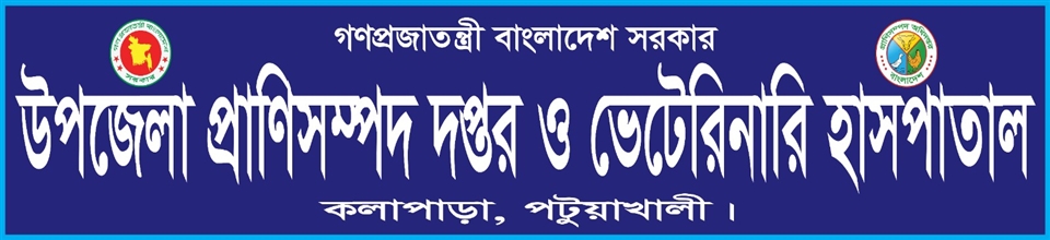 ব্যানার