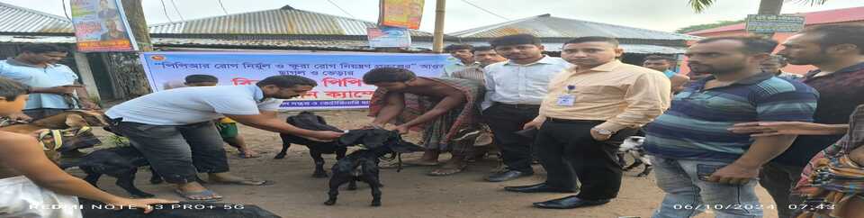 বিনামূল্যে ছাগল ভেড়ার পিপিআর টিকা প্রদান