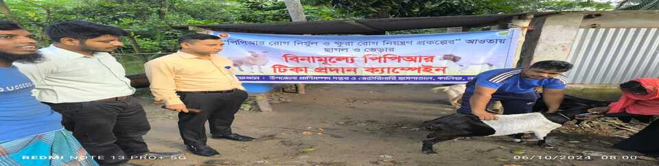 পিপিআর টিকা প্রদান