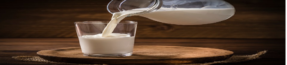 দুধ