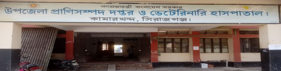 উপজেলা প্রাণিসম্পদ দপ্তর ও ভেটেরিনারি হাসপাতাল