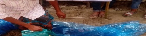 সাইলেজ