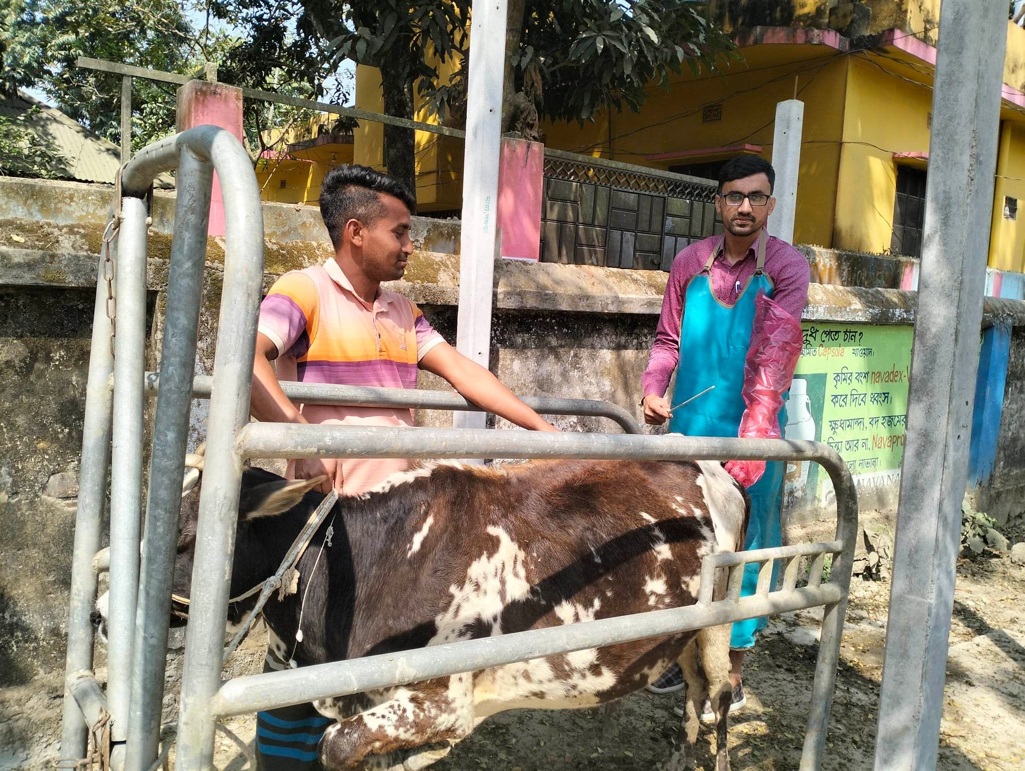 কৃত্রিম প্রজনন