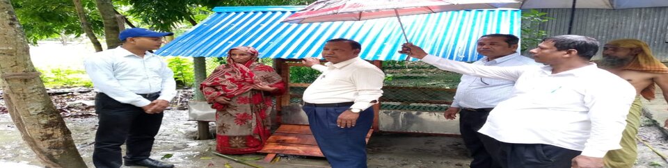 জলবায়ু সহিষ্ণু ঘর