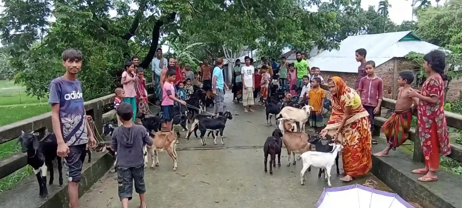 পিপিআর টিকা প্রদান