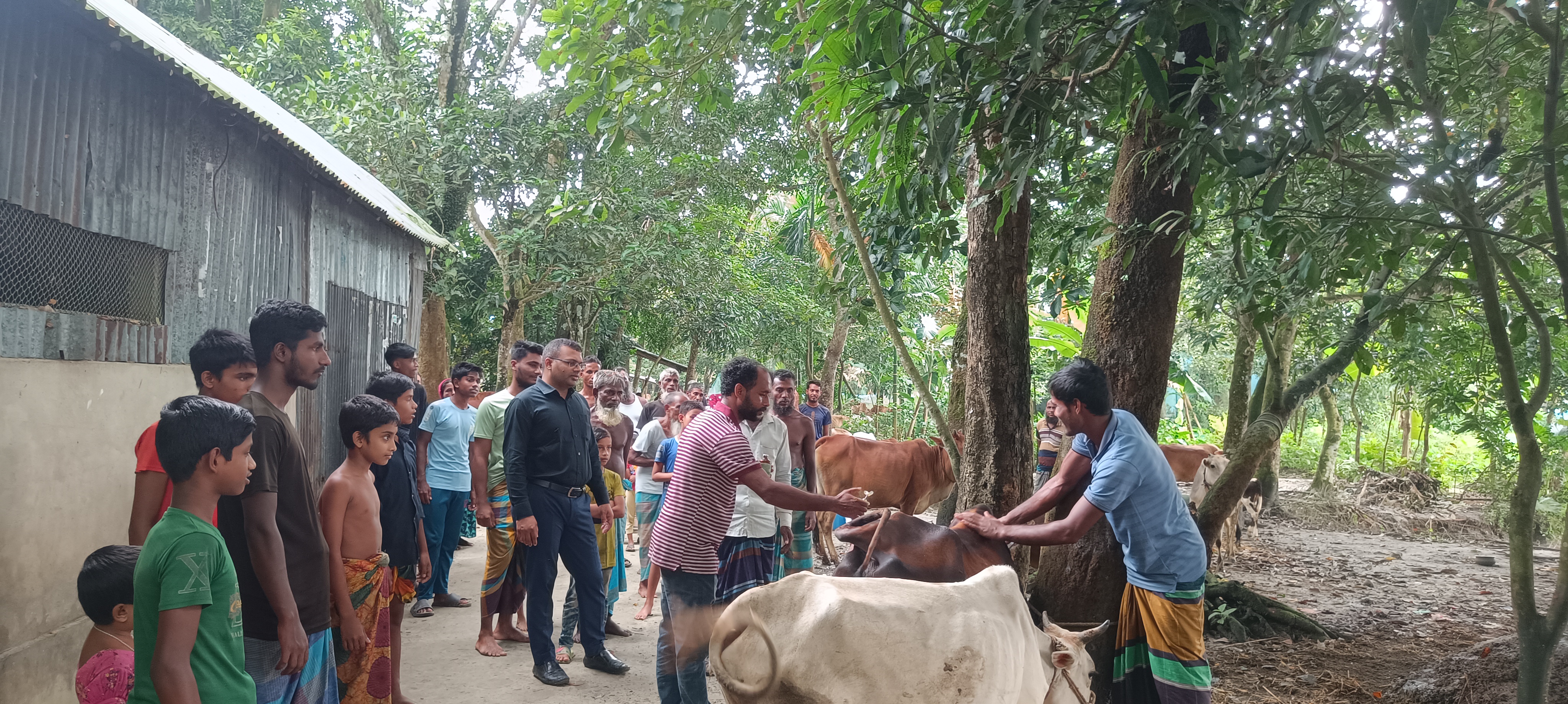ফ্রি টিকা প্র্রদান ক্যাম্প বাস্তবায়ন