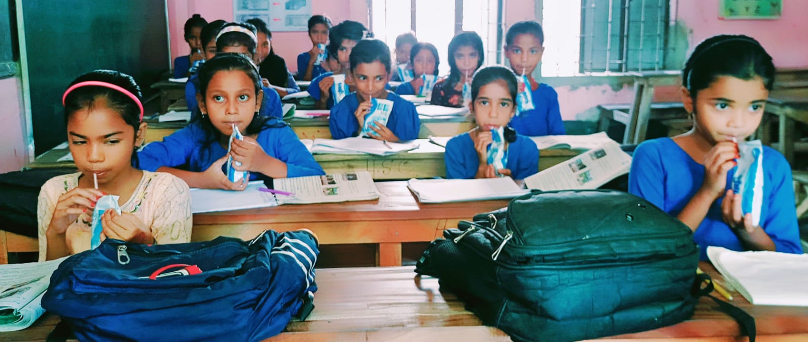 স্কুল মিল্ক কর্মসূচি