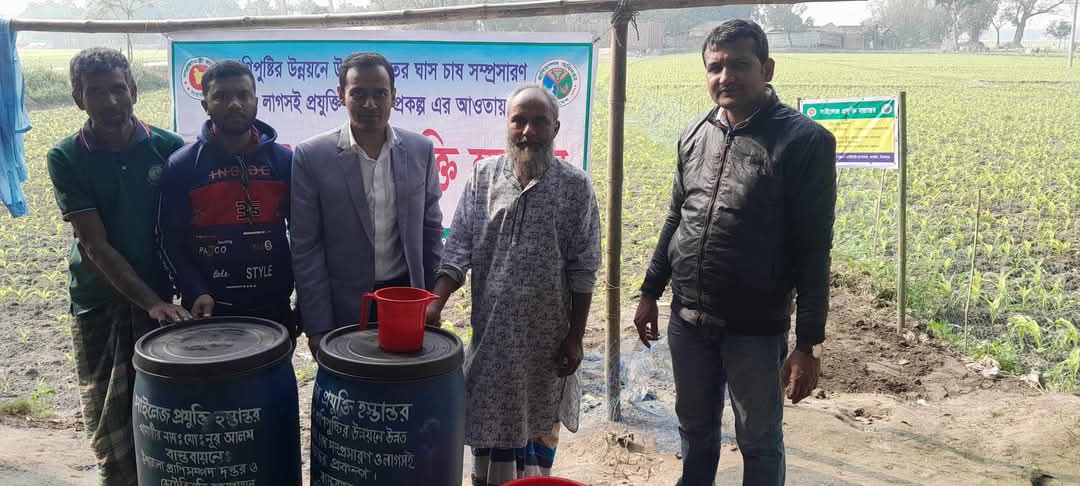 সাইলেজ প্রযুক্তি ও ইউরিয়া প্রক্রিয়াজাত খড় তৈরী