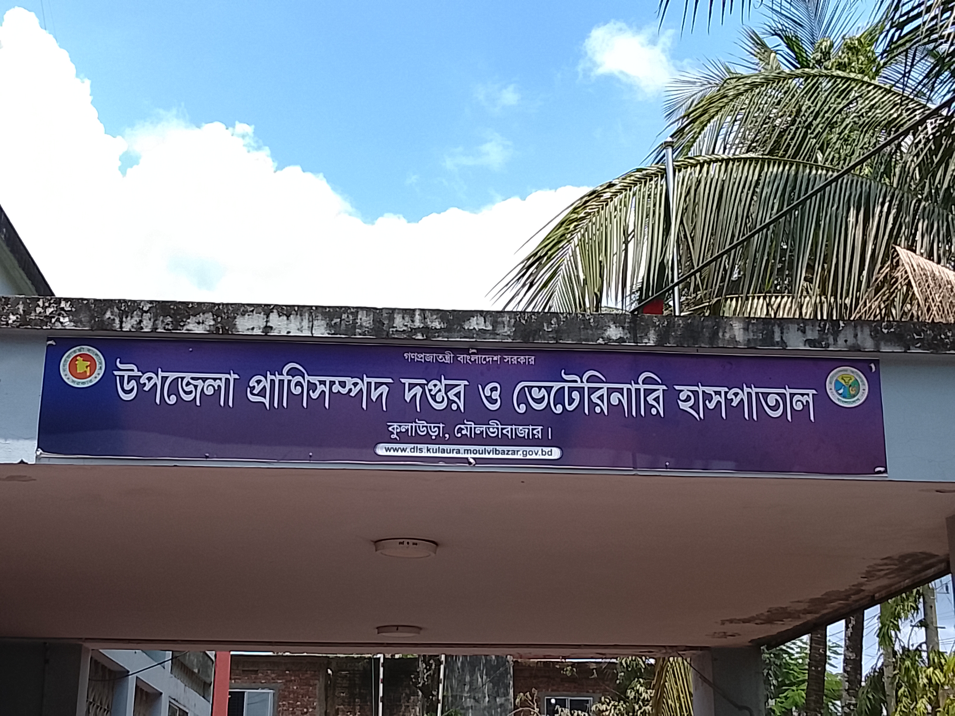 ক্যাম্পাস-১