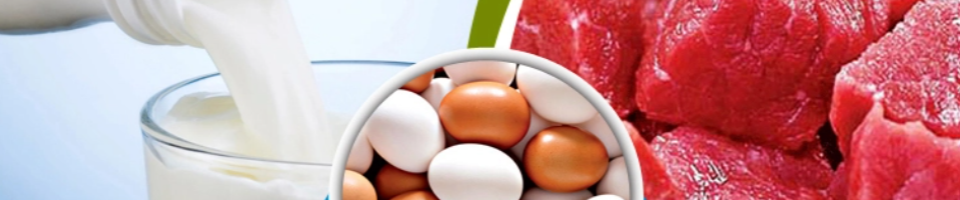 দুধ ডিম মাংস