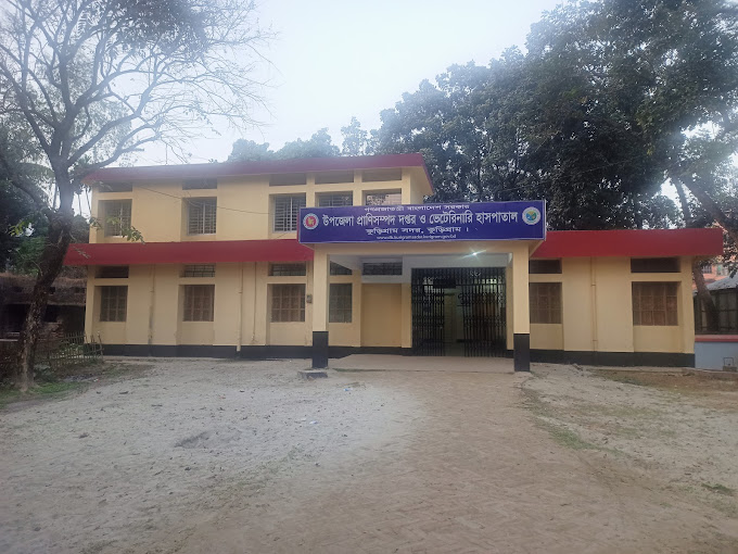 অফিস ছবি