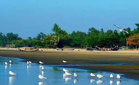 কুতুবদিয়ার প্রকৃতি