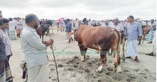 কুরবানির হাট