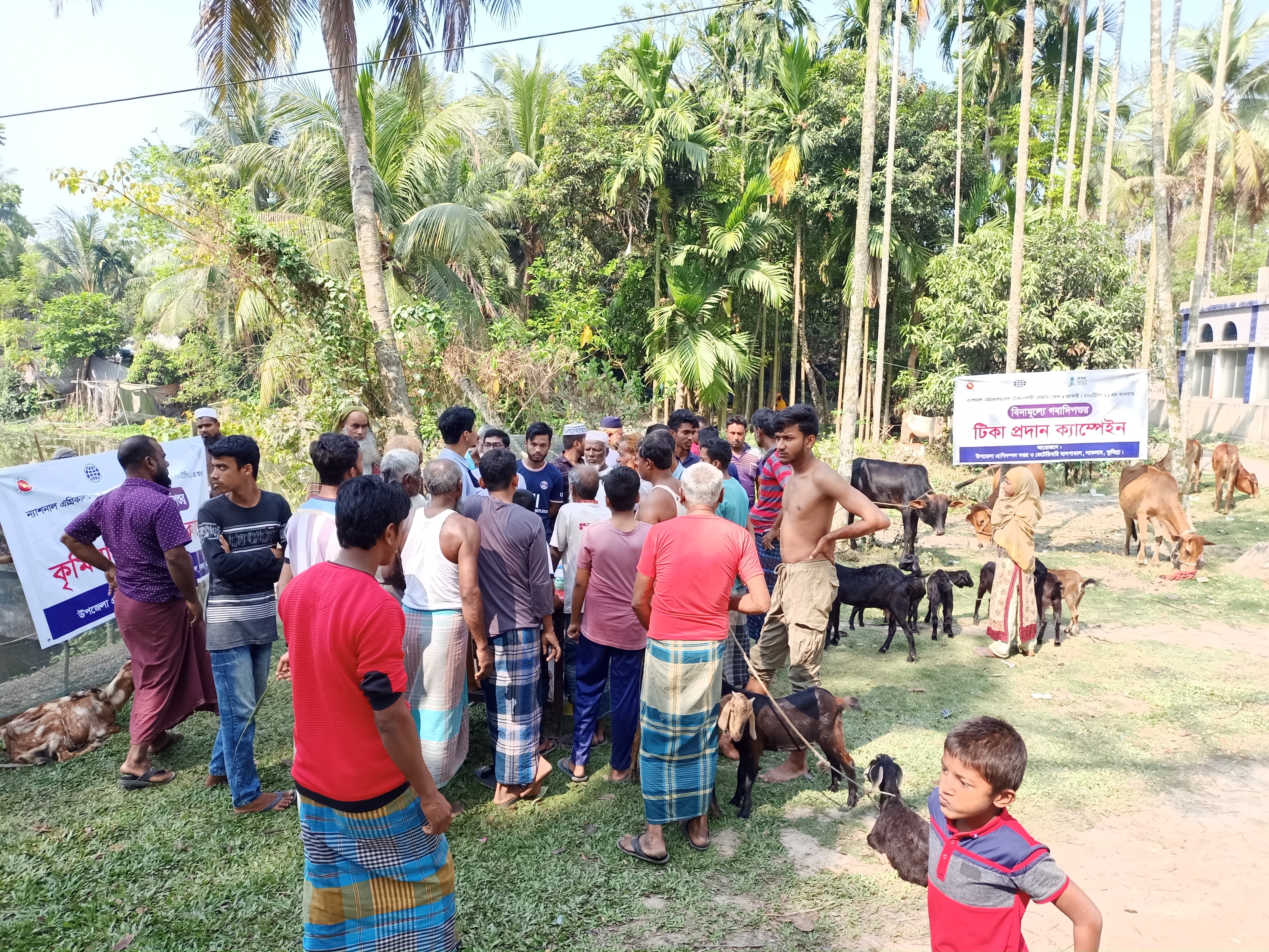 টিকা প্রদান ও কৃমির ঔষধ বিতরণ কার্যক্রম