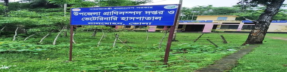 উপজেলা প্রাণিসম্পদ দপ্তর ও ভেটেরিনারি হাসপাতাল, লালমোহন, ভোলা।