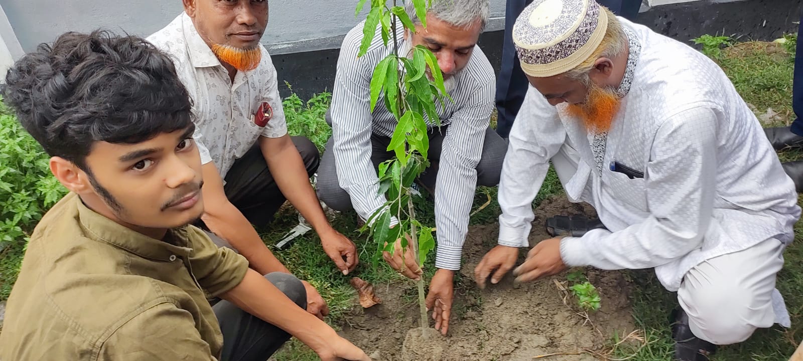 আই এল এস টি, কালীগঞ্জ, লালমনিরহাটে বৃক্ষ রোপন