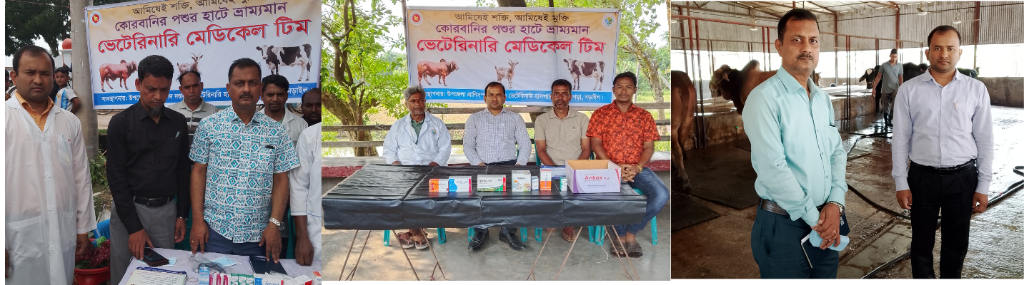 কোরবানীর হাট পরিদর্শণ