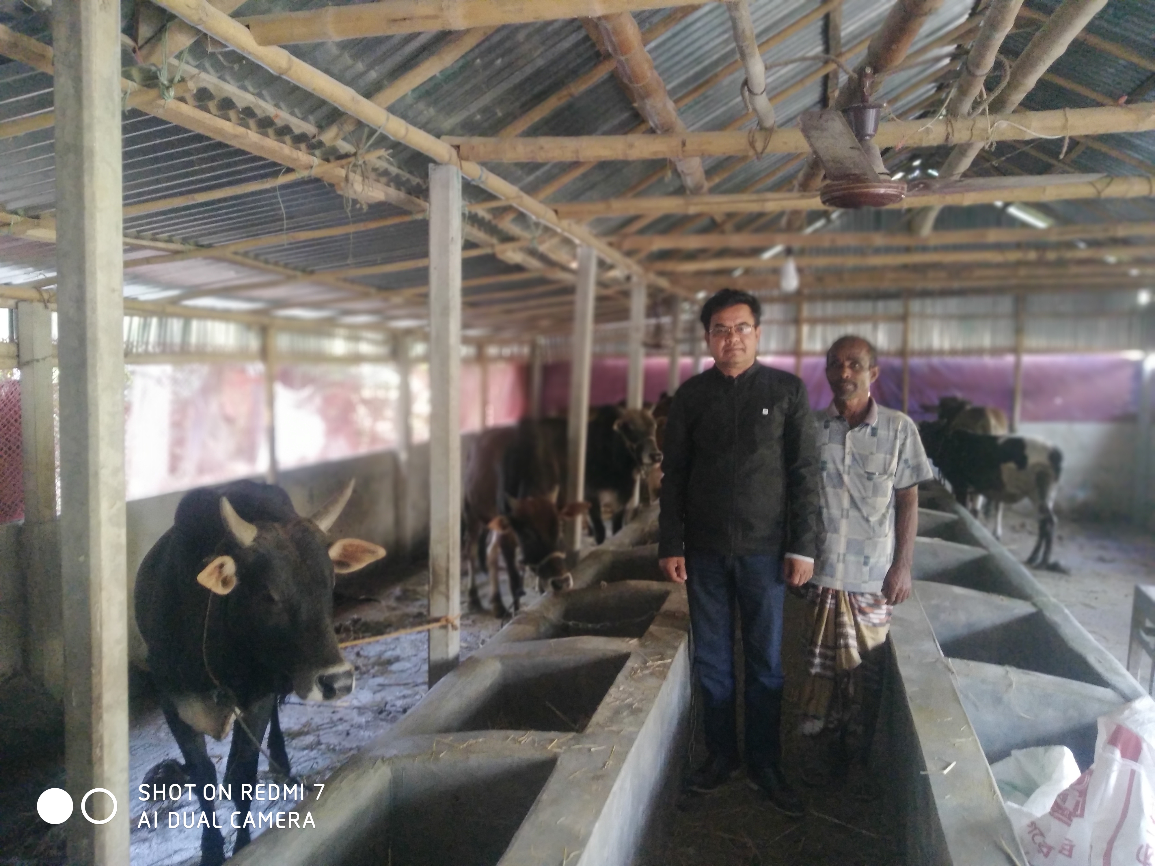 খামার পরিদর্শন