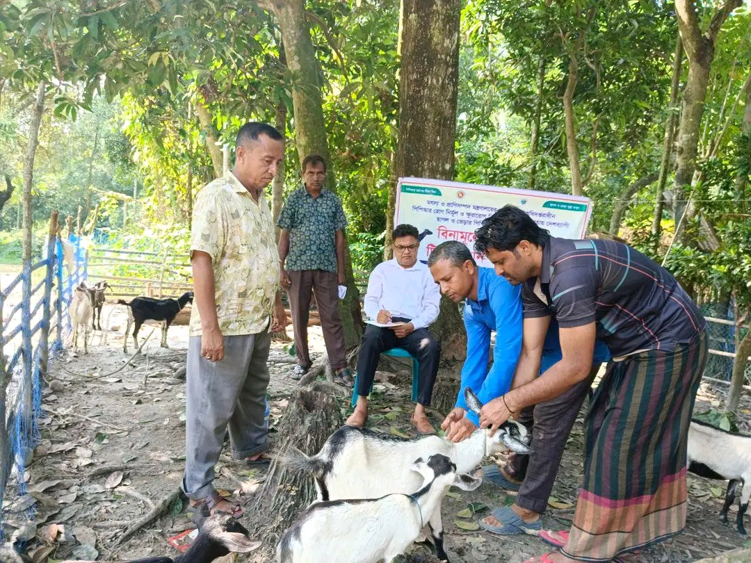 পিপিআর ভ্যাক্সিনেশন