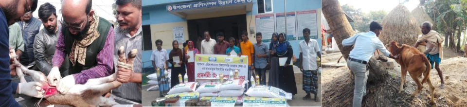 প্রাণিসম্পদ দপ্তর মাধবপুর, হবিগঞ্জ এর কার্যক্রম