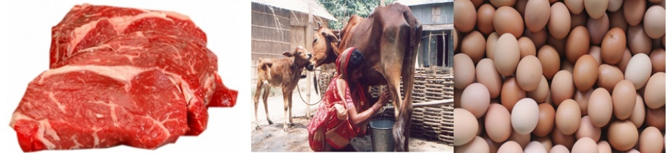 প্রাণীজ আমিষ