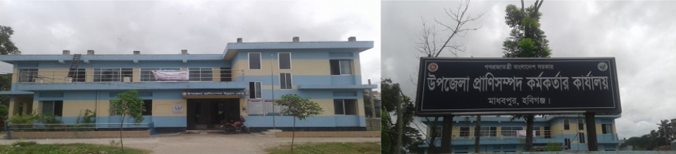 অফিস ভবন