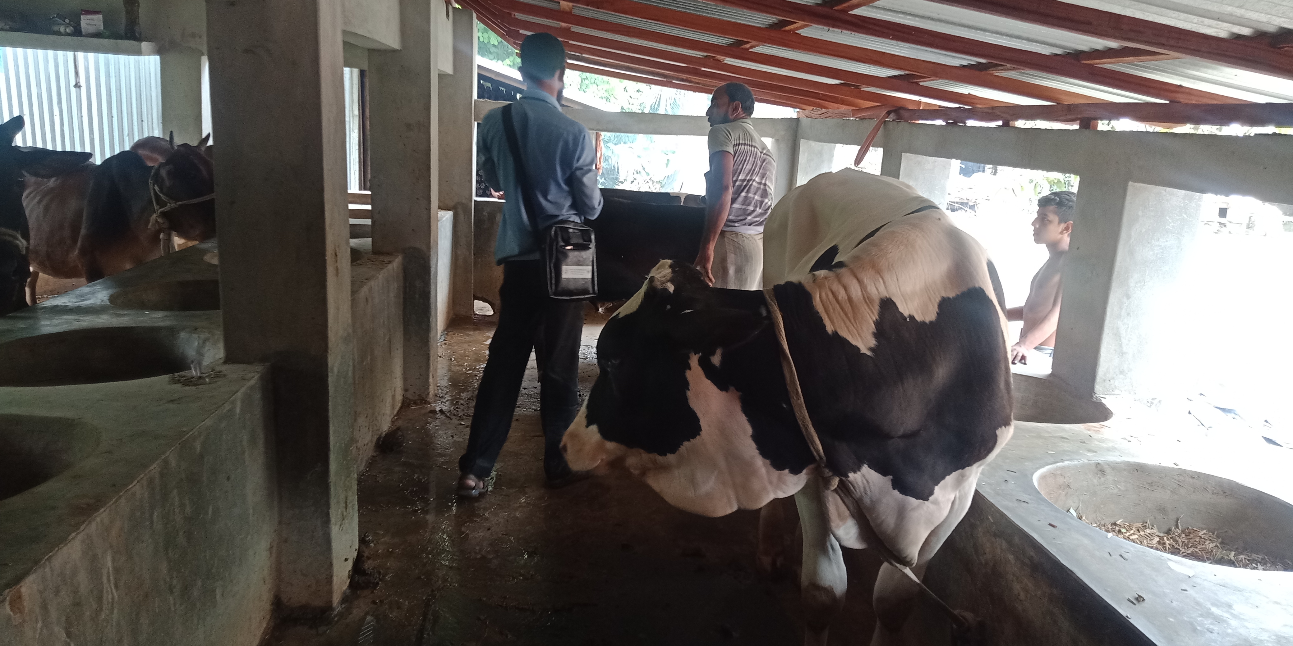 উপজেলা প্রাণিসম্পদ দপ্তরের ফটো গ্যালারী