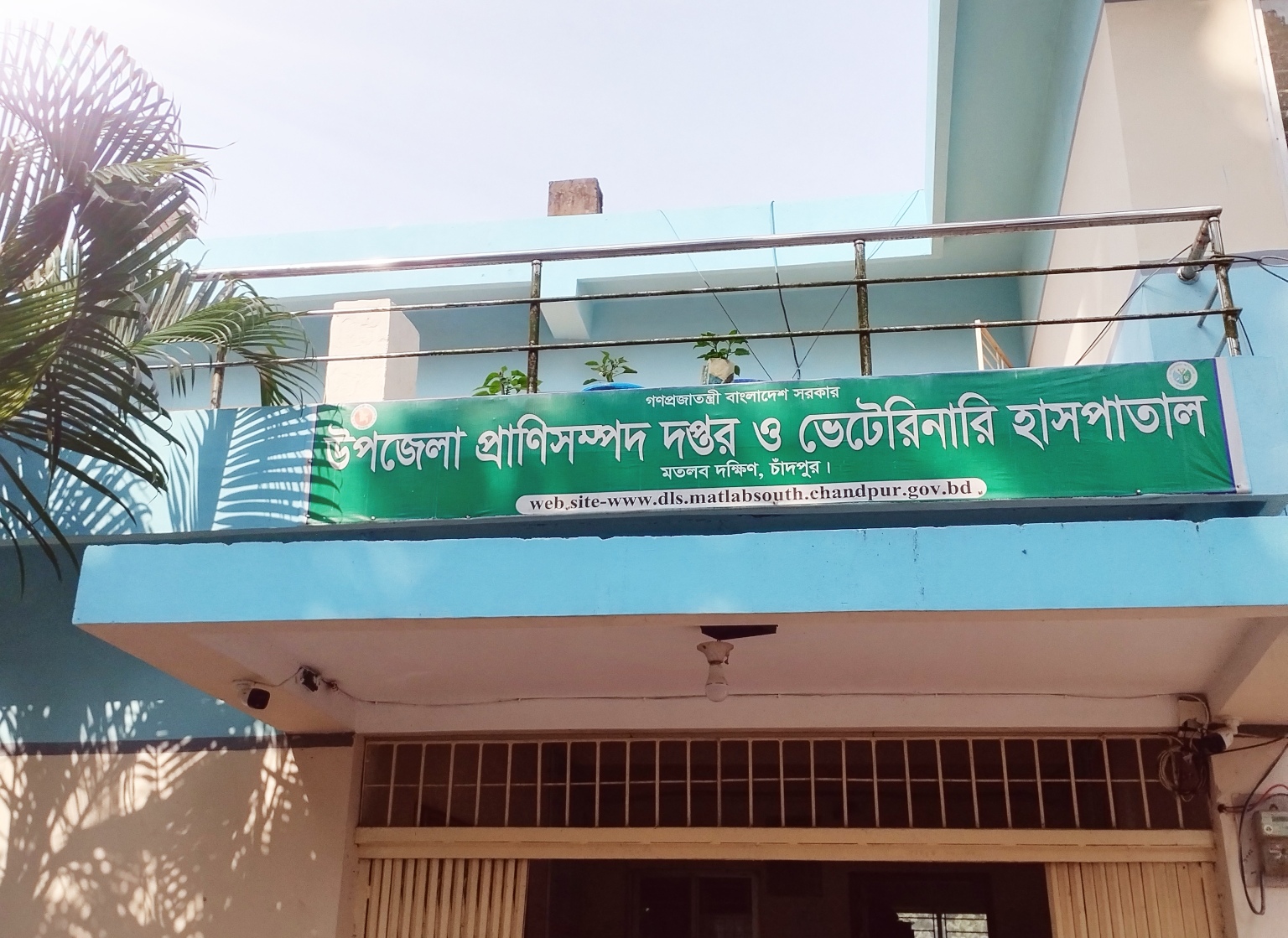 উপজেলা প্রাণিসম্পদ দপ্তর ও ভেটেরিনারি হাসপাতাল, মতলব দক্ষিণ, চাঁদপুর।