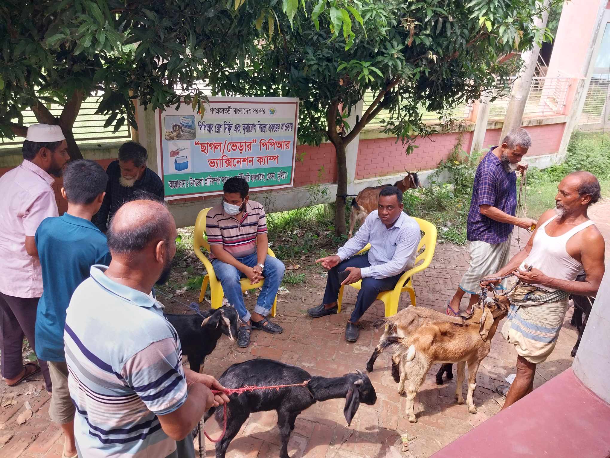 পিপিআর ভেক্সিনেশন