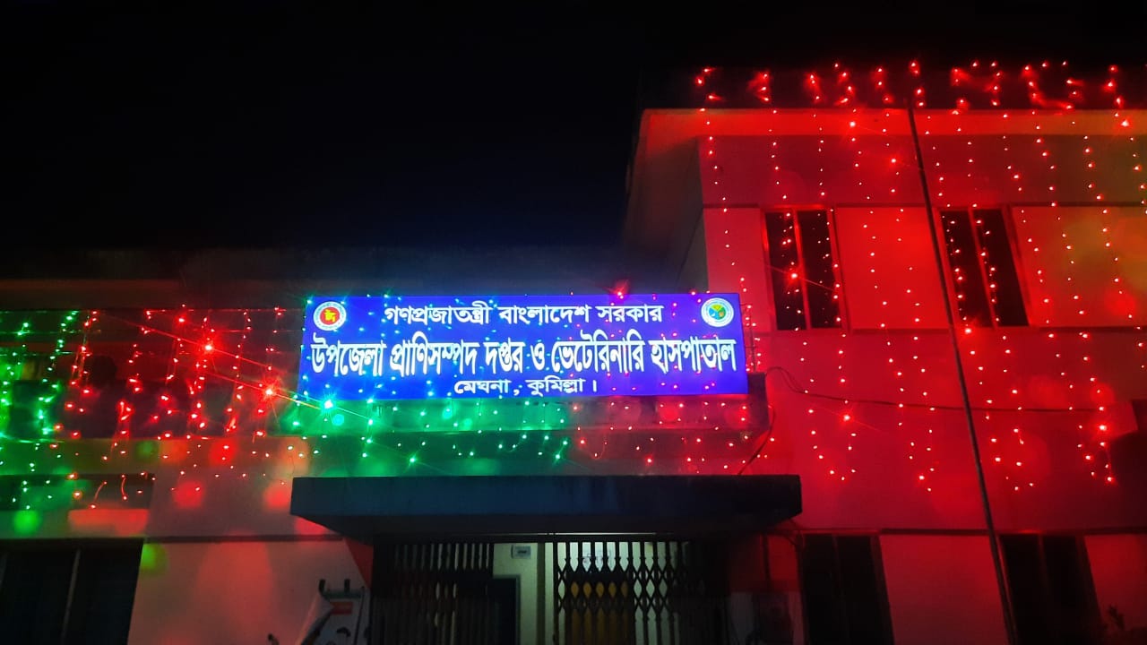 মহান স্বাধীনতা দিবস উপলক্ষে অফিসের সাজসজ্জা