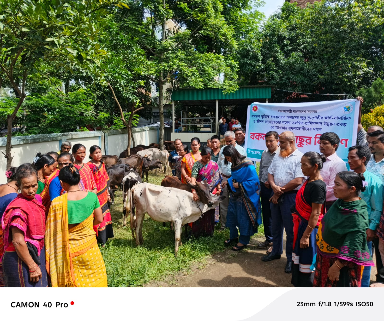 বকনা ও ষাড় বিতরণ