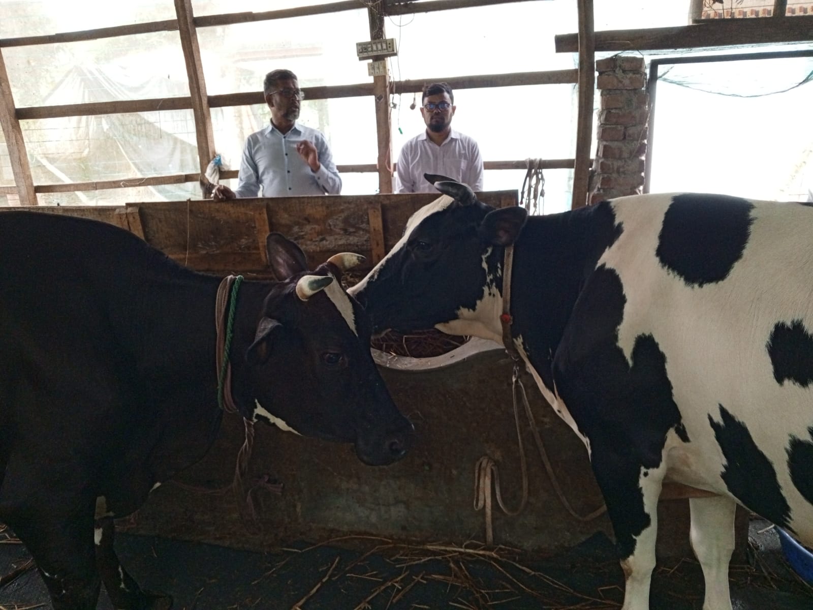 খামার পরিদর্শন