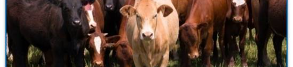 প্রশিক্ষন চলাকালীন সময়