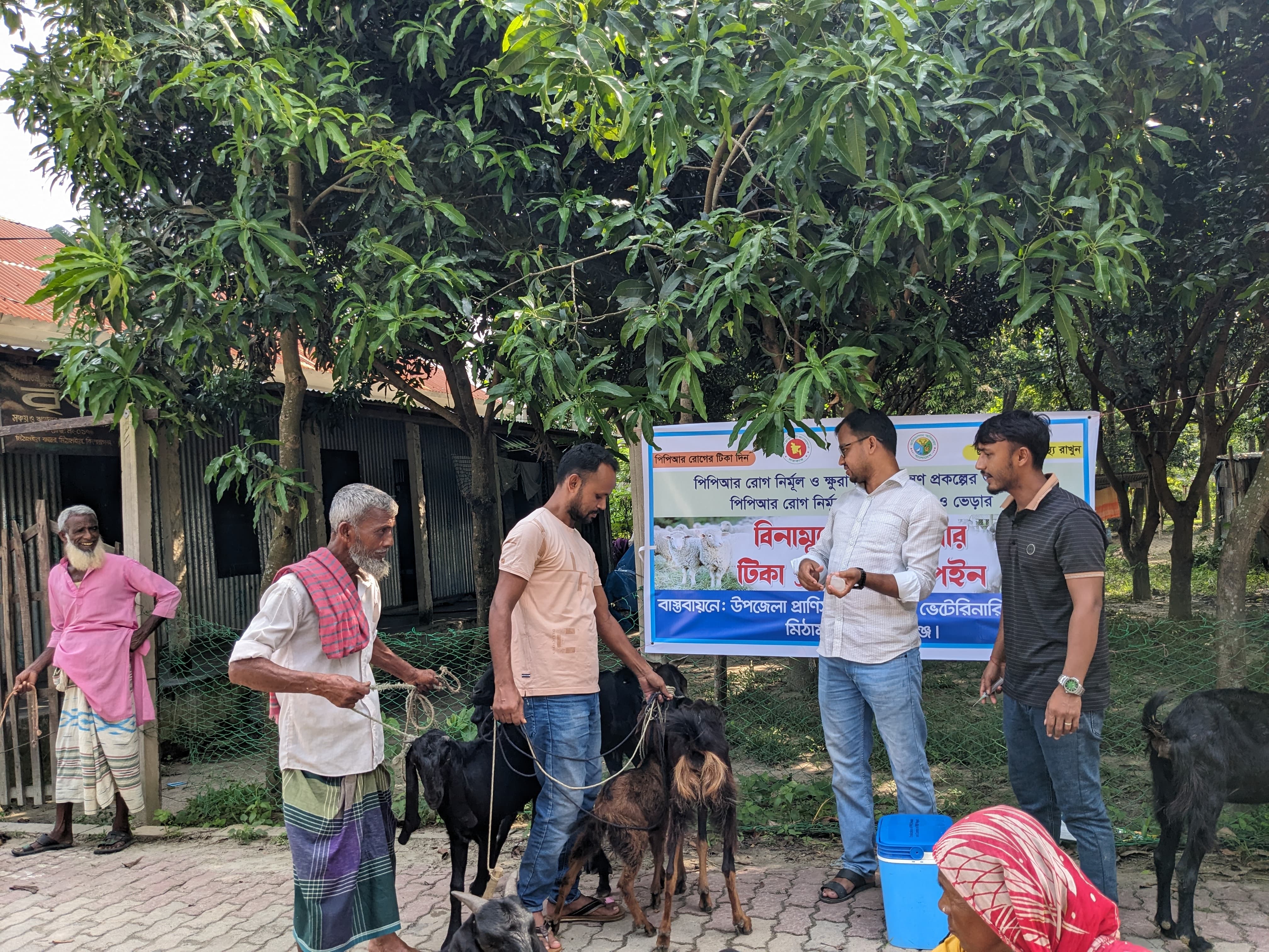 টিকা প্রদান কর্মসূচী