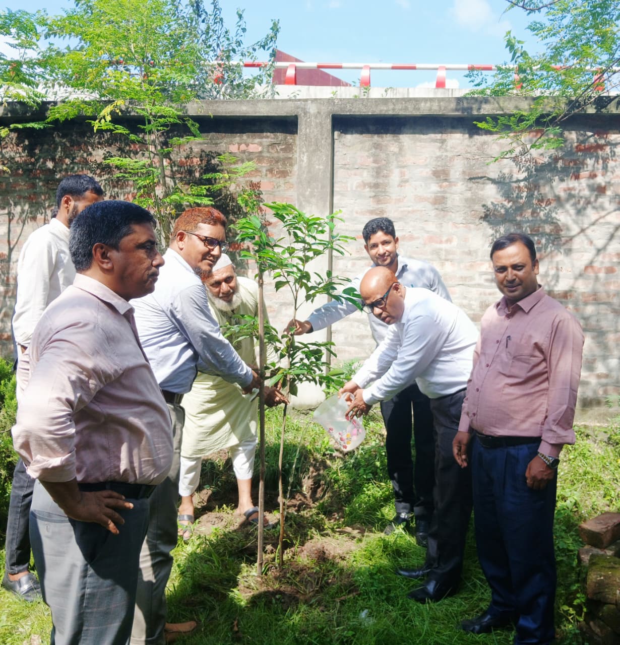 অফিস ক্যাম্পাসে বৃক্ষরোপণ কর্মসূচি