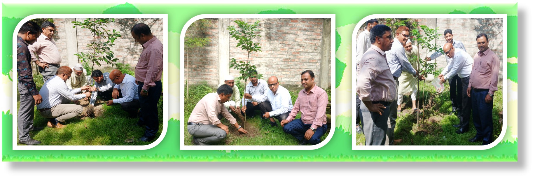 বৃক্ষ রোপন