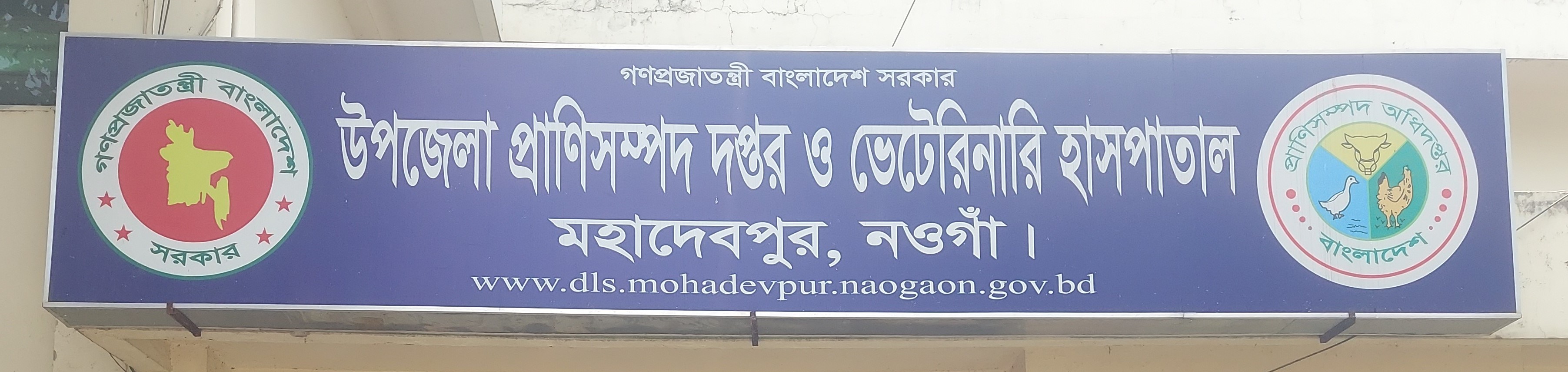 উপজেলার নাম