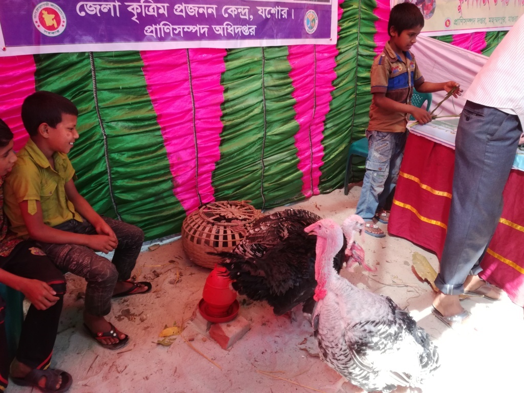 Service Process Simplification