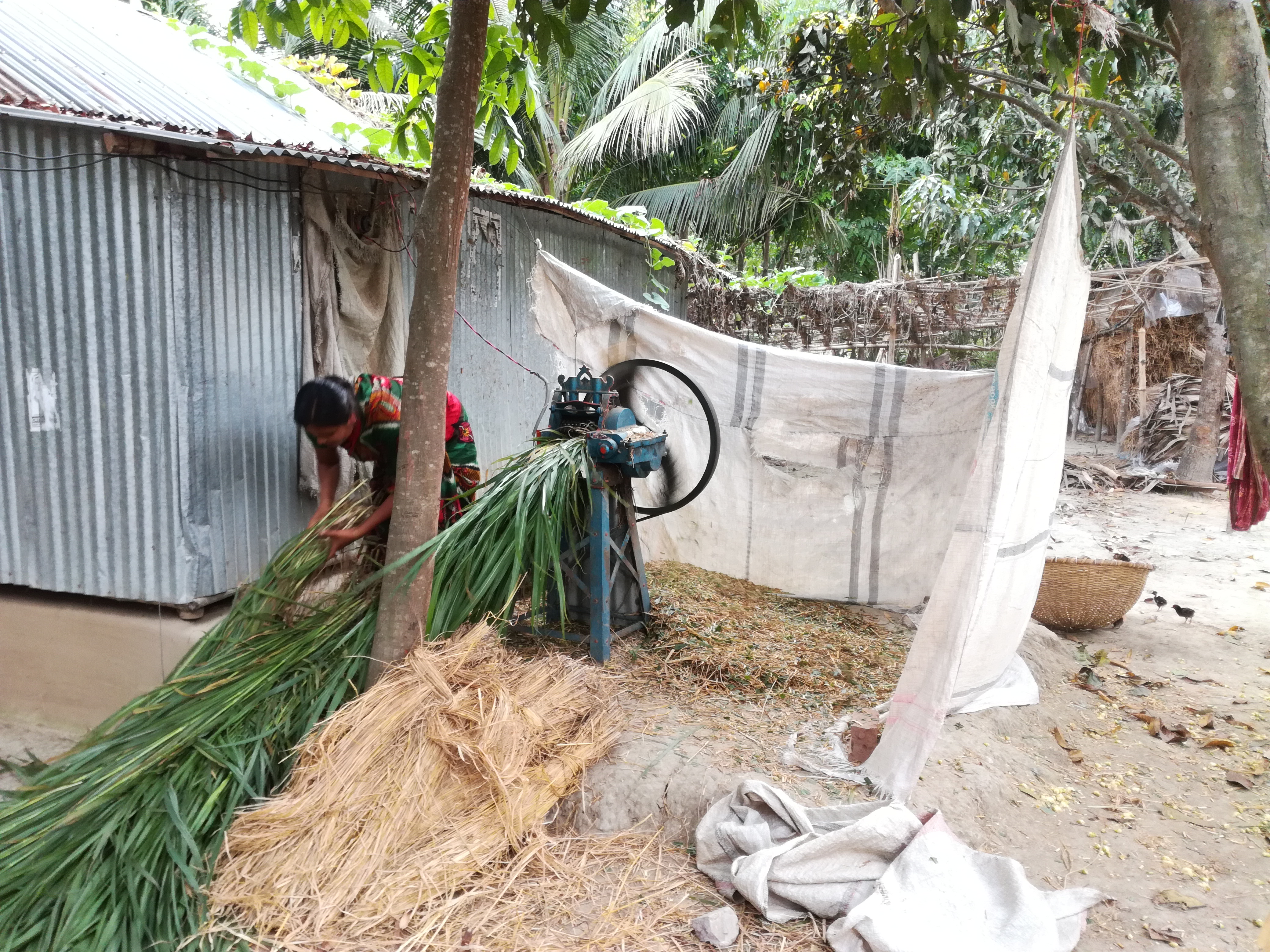 Service Process Simplification