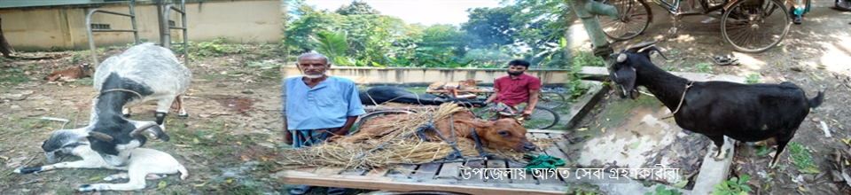 উপজেলায় সেবা গ্রহণকারী